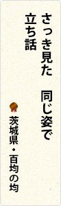 さっき見た　同じ姿で　立ち話　茨城県・百均の均